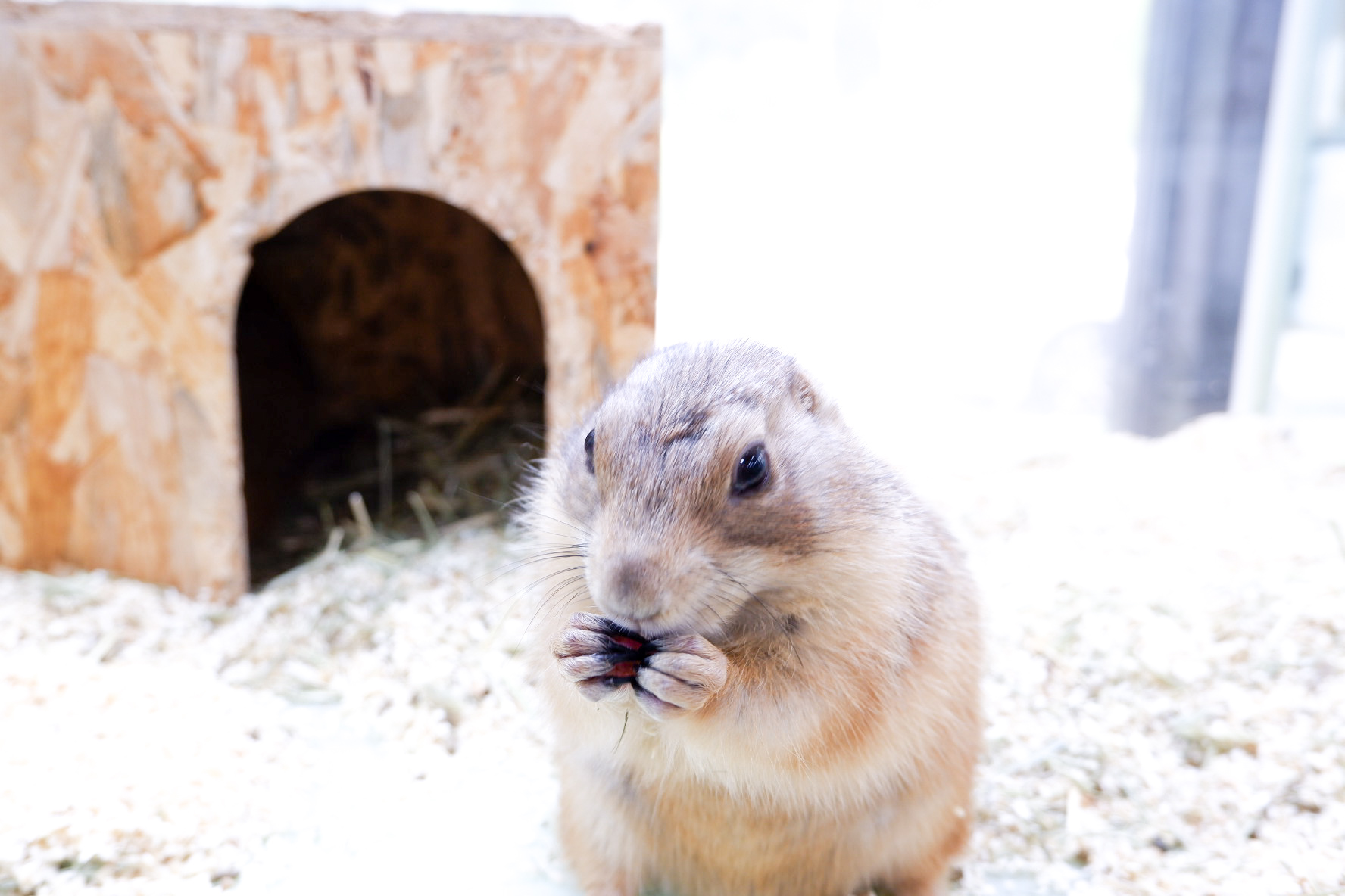 0b33b20231f166bd785ae48025a21ac9_1657269725_0089.jpg