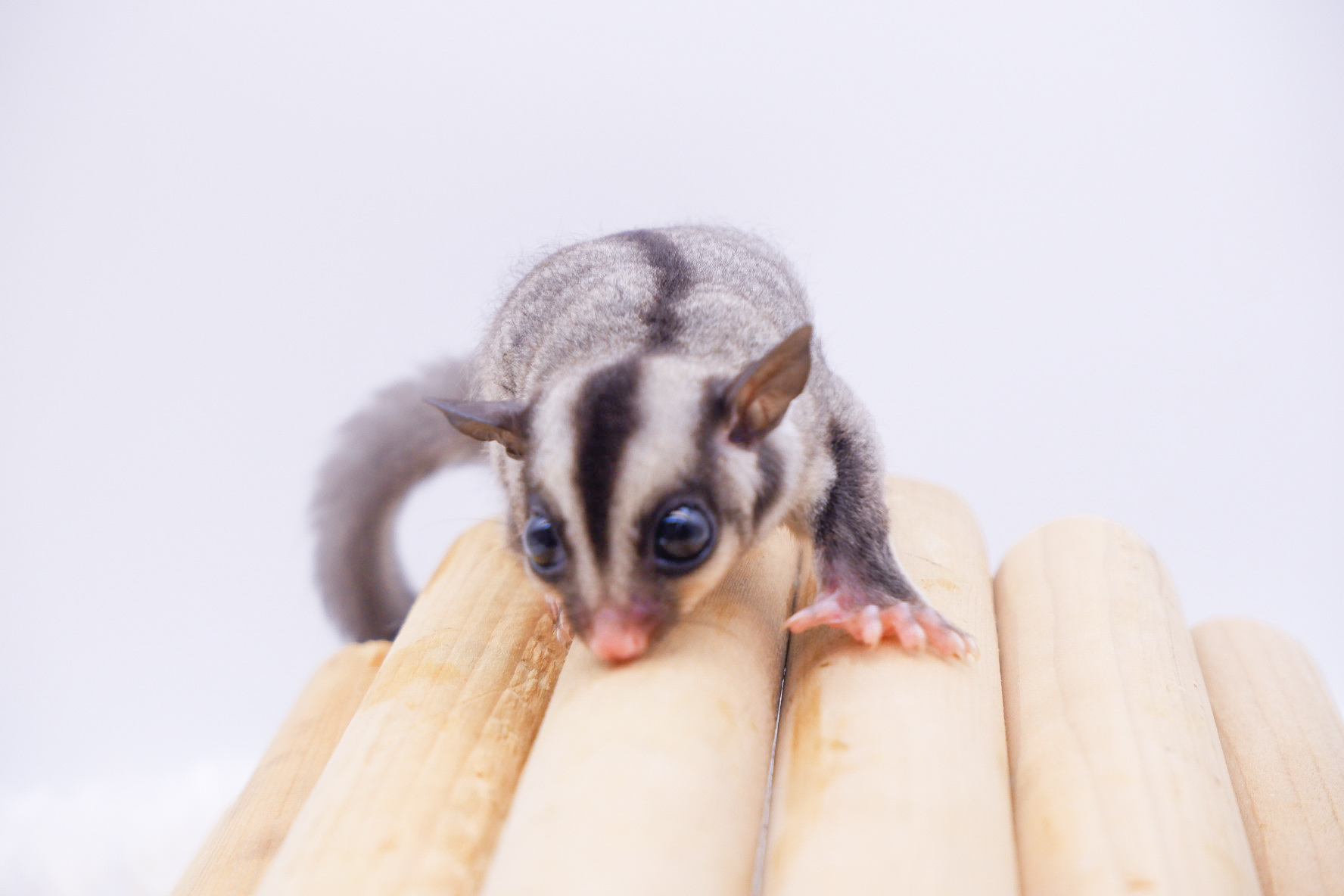 f64a0f3e367cef6898b24b29dcff10e4_1660919548_3443.jpg