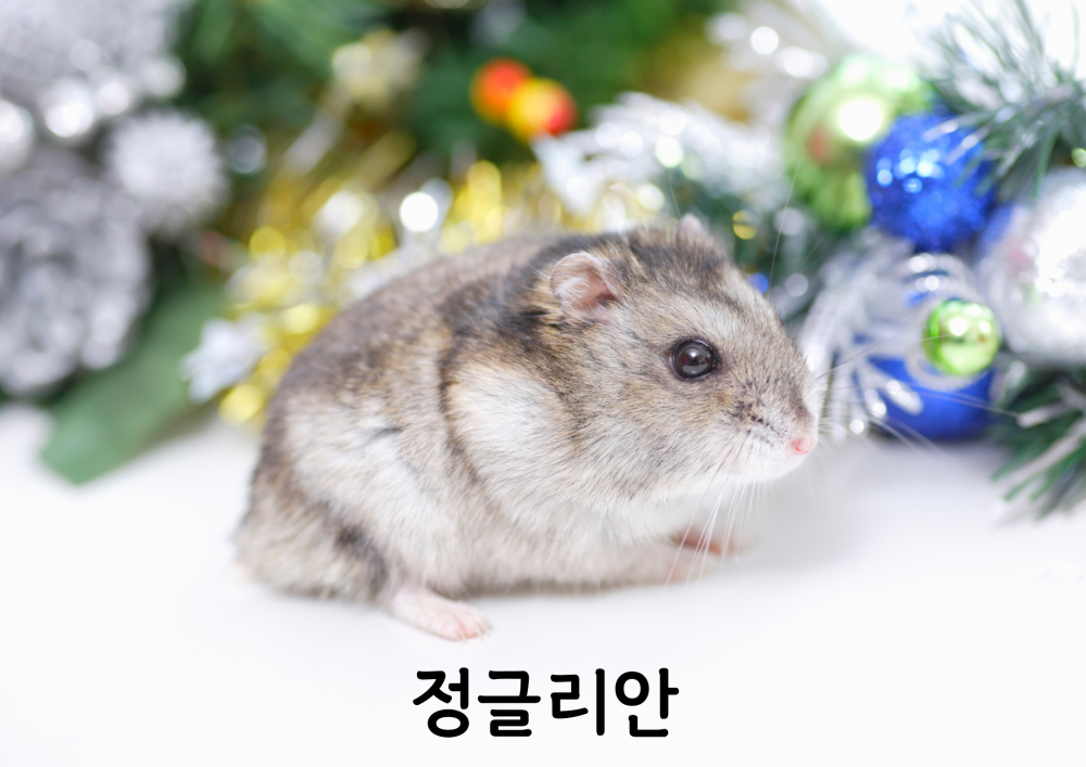 7baba43902a7bbf64fcdea2b5a765f1c_1757050575_2023.png