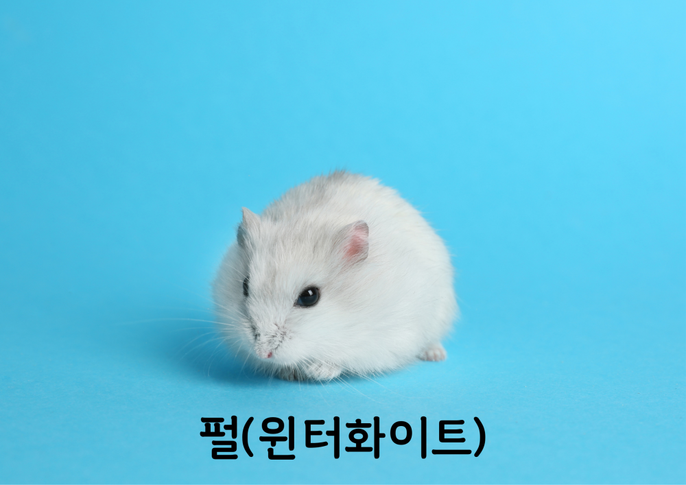 7baba43902a7bbf64fcdea2b5a765f1c_1757050575_4927.png
