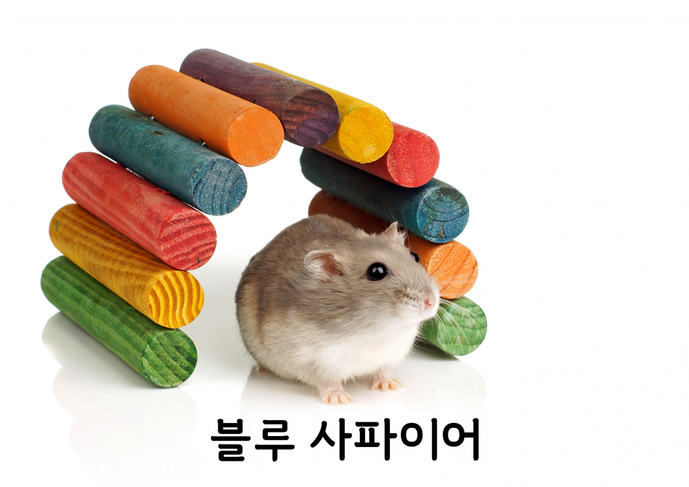7baba43902a7bbf64fcdea2b5a765f1c_1757050575_7206.png