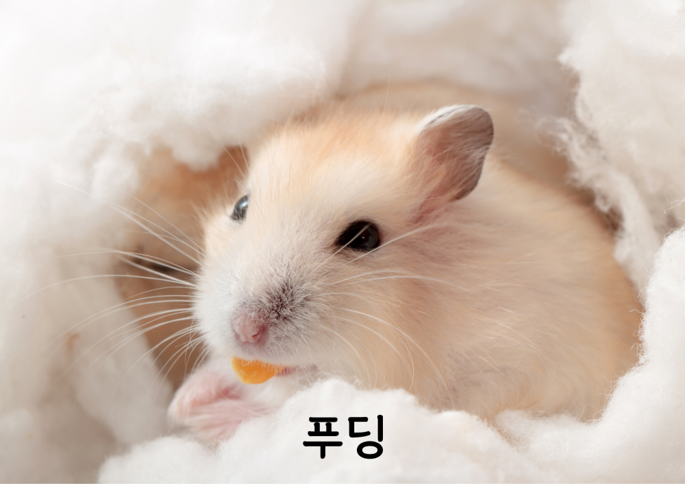 7baba43902a7bbf64fcdea2b5a765f1c_1757050582_0753.png