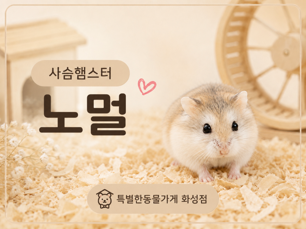 a410a43a32d7ee3197ce4cc81358ab28_1781193395_2938.png