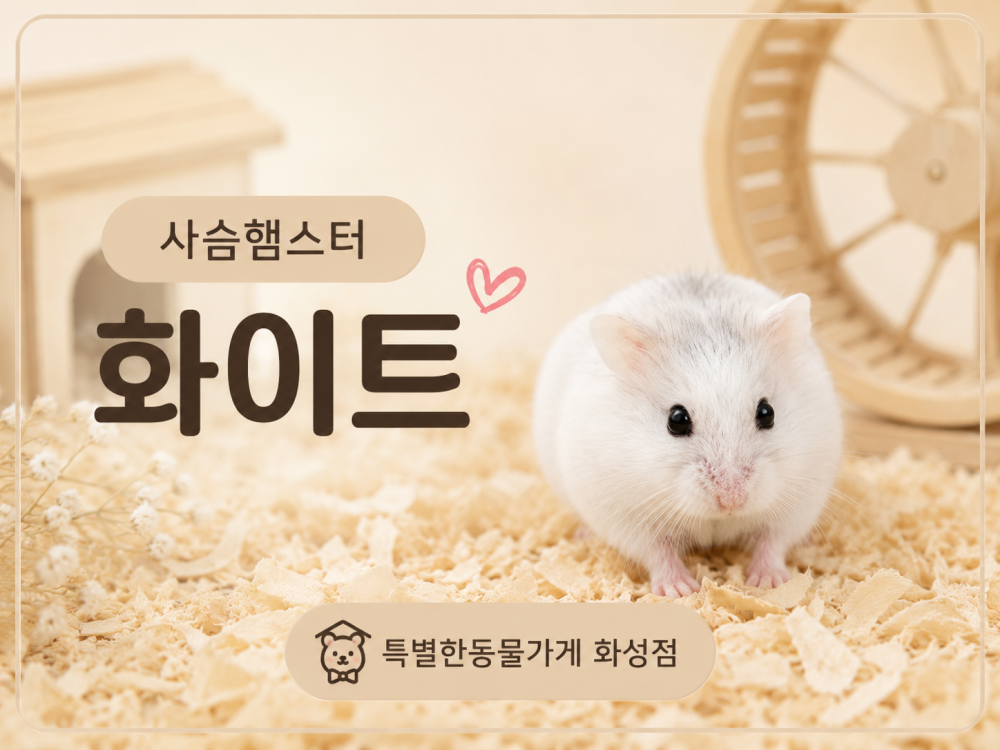 a410a43a32d7ee3197ce4cc81358ab28_1781193395_4253.png