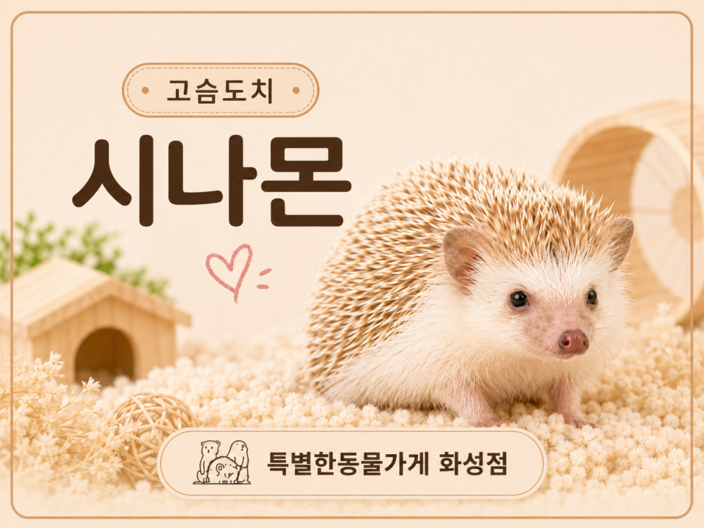 a410a43a32d7ee3197ce4cc81358ab28_1781193462_091.png