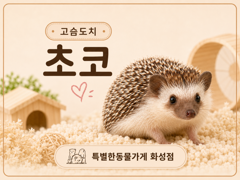 a410a43a32d7ee3197ce4cc81358ab28_1781193467_2285.png