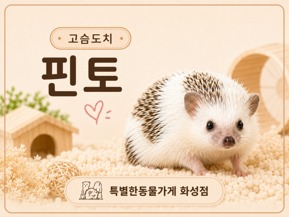 a410a43a32d7ee3197ce4cc81358ab28_1781193505_333.png
